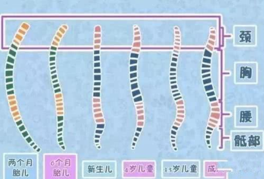 遮盖婴儿车后能升温16度？带娃婴儿车，你知道如何正确使用吗？