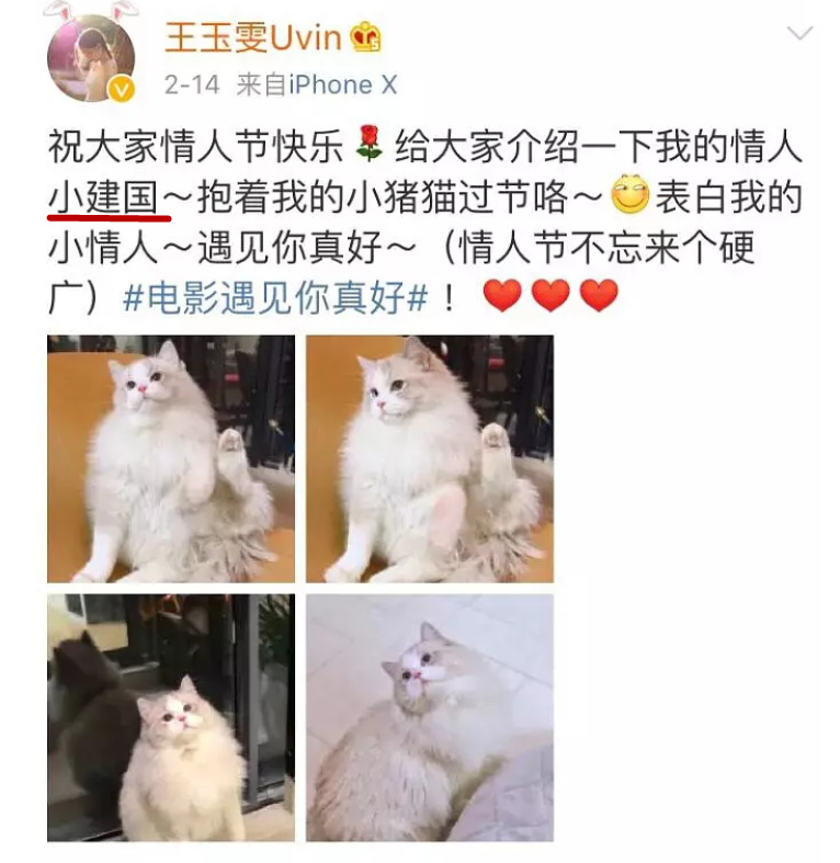 黄晓明林更新躺着也中枪，居然被她diss土死了