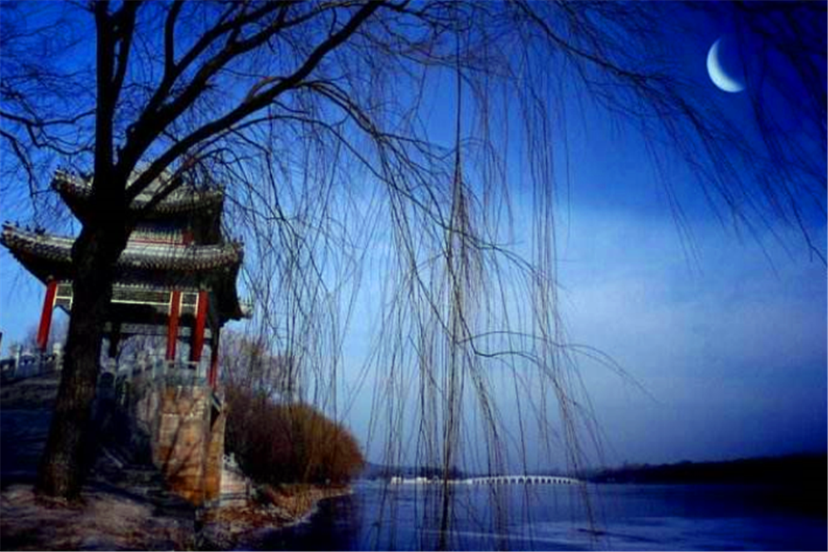 白衣卿相柳永,一句"杨柳岸,晓风残月",千年来无人能出其右