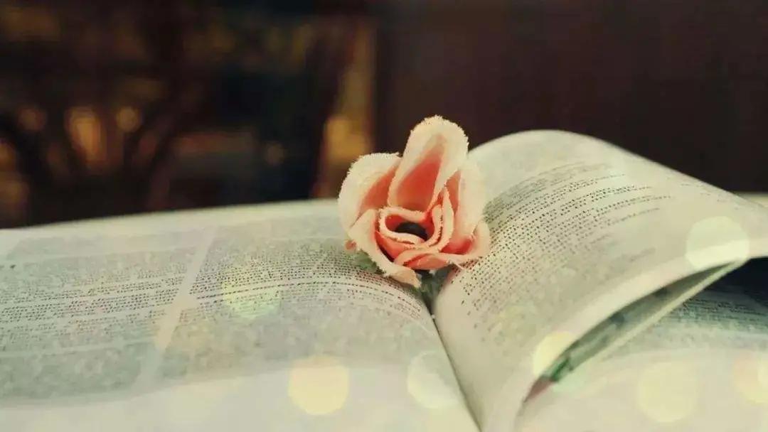 做人，别做“井底之蛙”