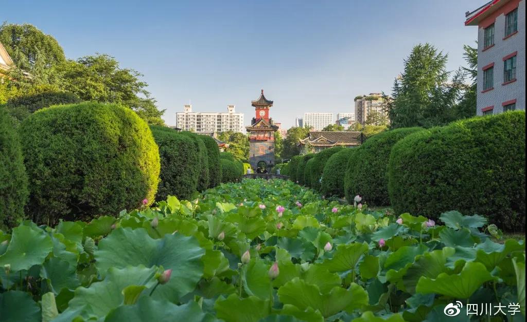 关注！2020年报考四川大学，这10大问题一定了解！