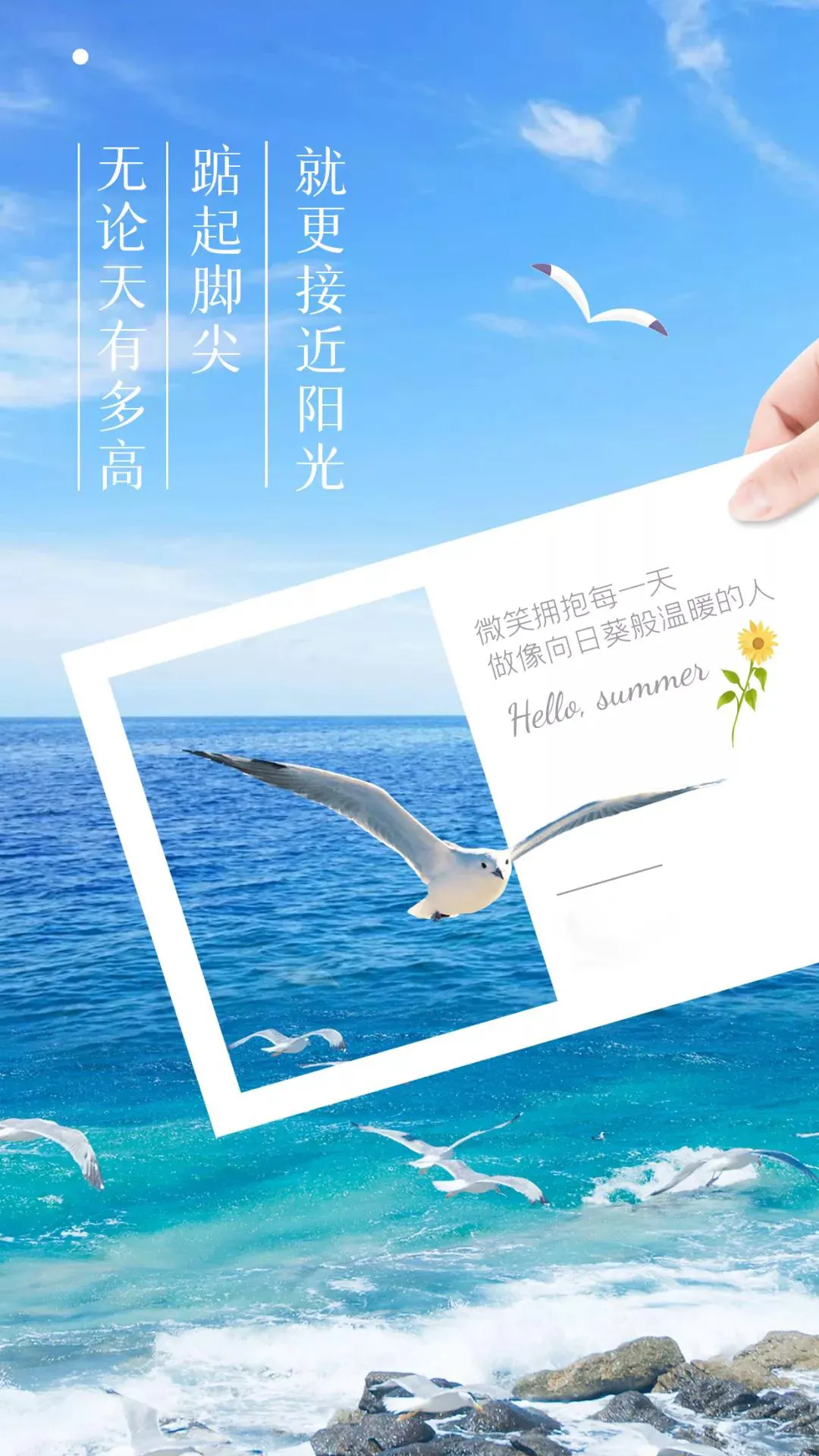 7月29日 早安｜新的一天，新的起点