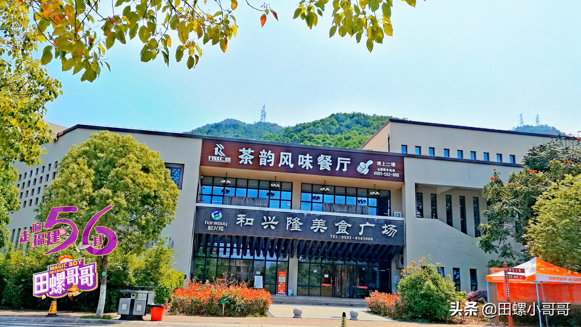 中国第一所，也是唯一一所本科茶学院，深藏于大山里，清新似茶！