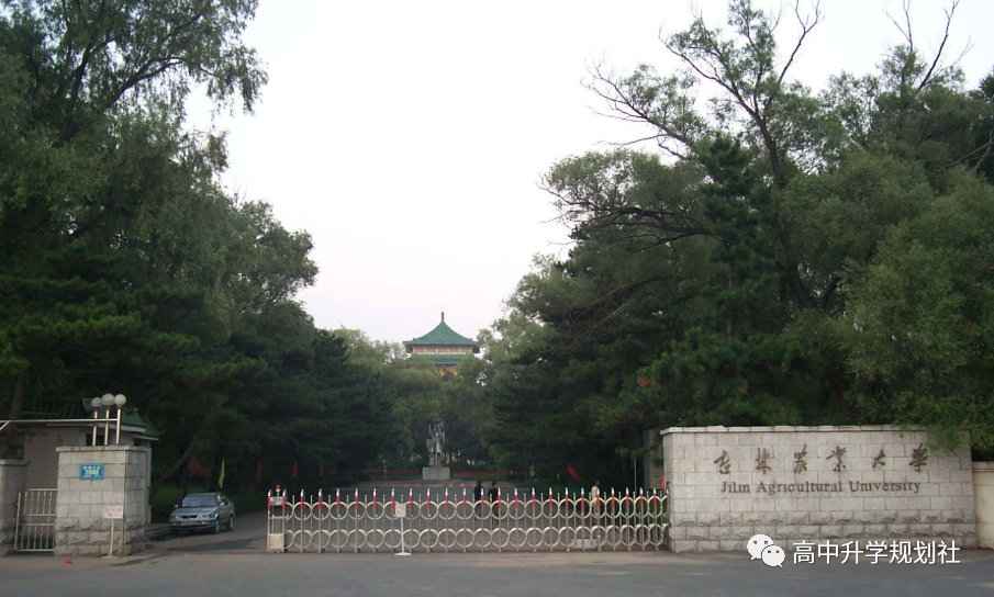 D42：吉林省。除吉大、东北师大、延边外，这些大学实力也很强