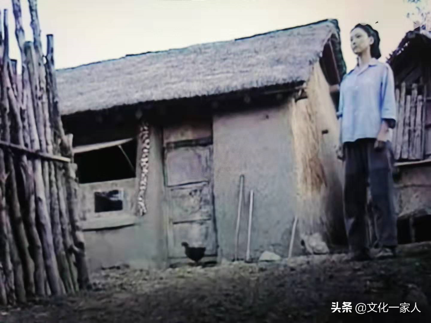 七嫂——世上最美的女人