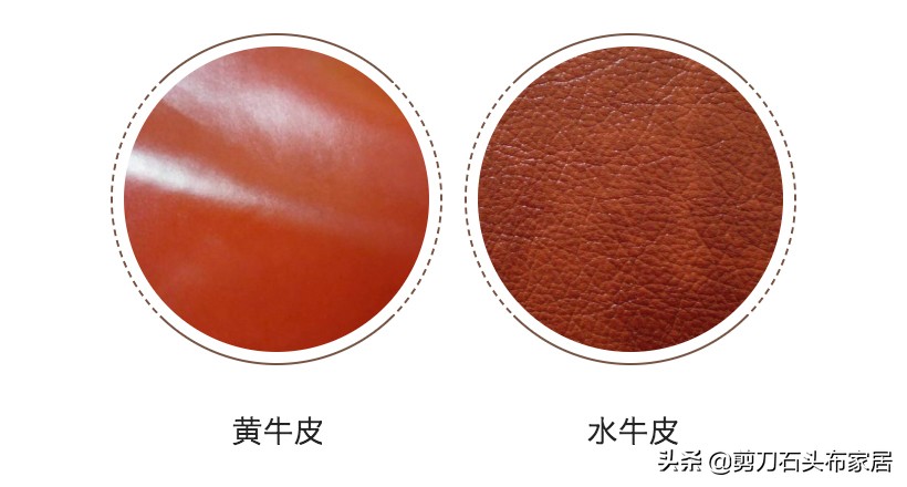 《知识帖》牛牛课堂 - 掌握3点让你快速鉴别牛皮价值