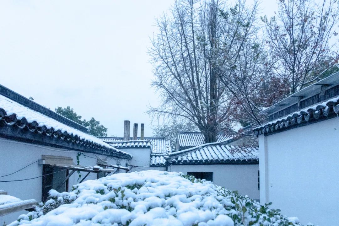 冰雪融化的诗词句（关于冰雪的诗词句子）