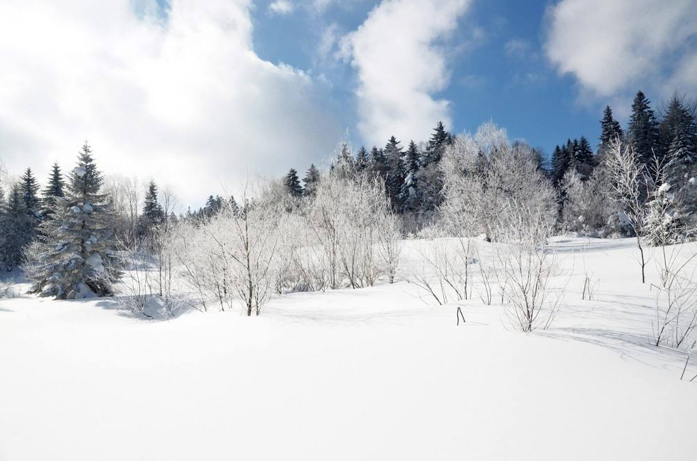 大雪诗词 | 带你走进唐诗宋词里的最美雪景！