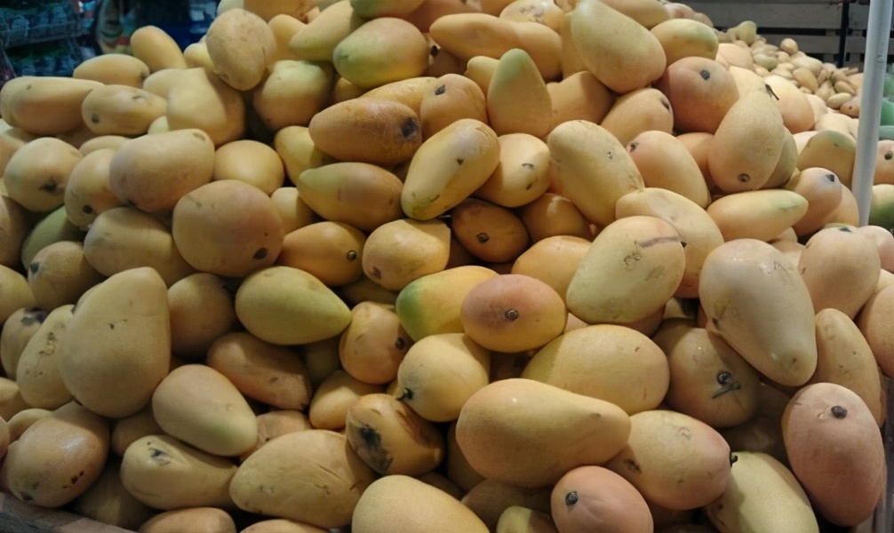 芒果就是台芒啦,它的个头比较小,过年的时候还卖九块九一斤,现在超市