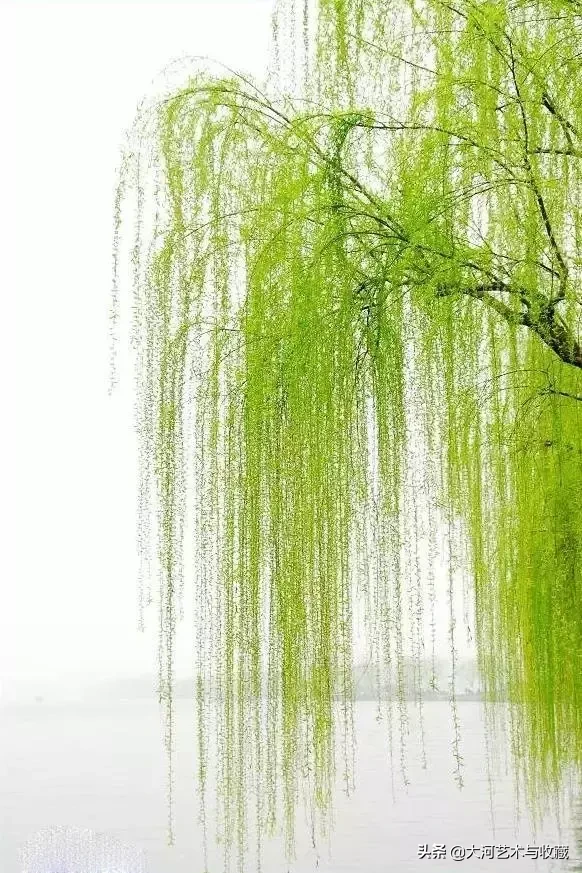 雨水：天街小雨润如酥