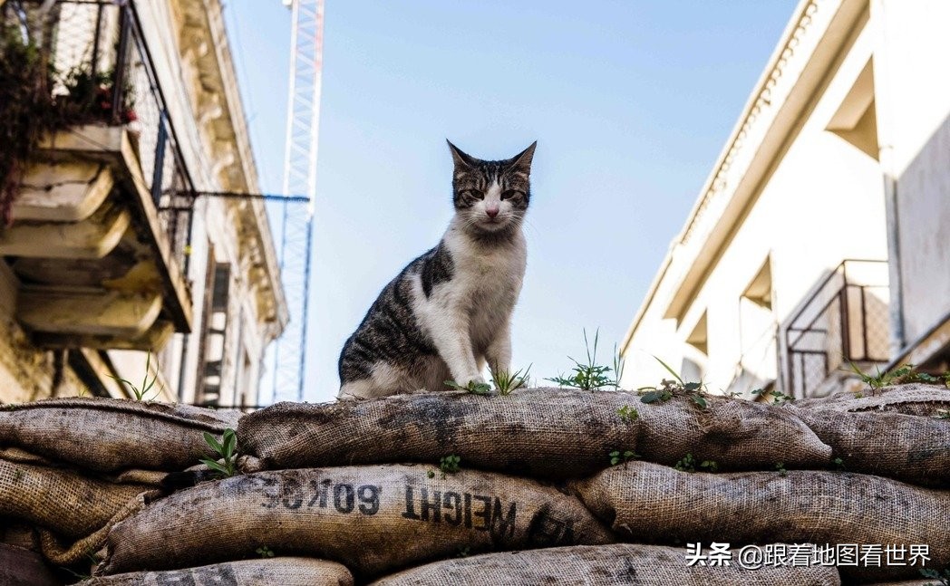 塞浦路斯是英联邦国家(塞浦路斯一岛两国：希腊和土耳其是如何在这个小岛上角力的？)