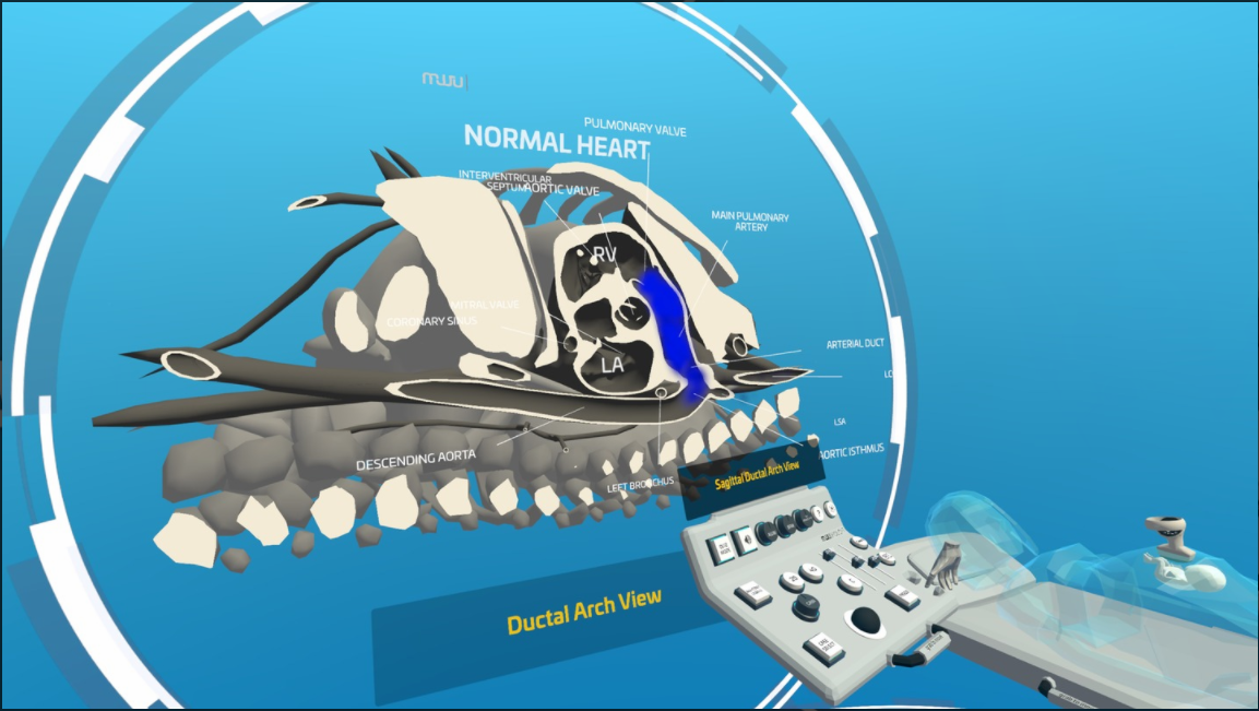 VR医疗应用《Fetal Heart VR》成App Lab上最昂贵应用