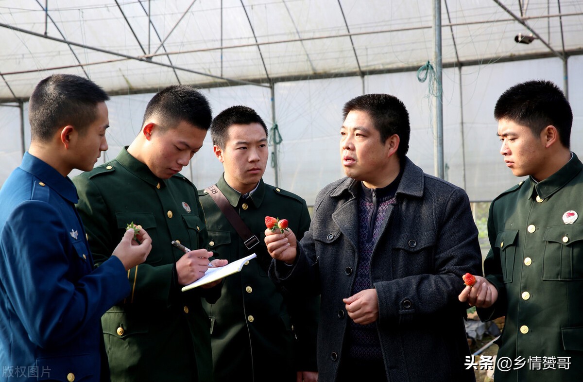 城市户口，如何才能迁回到农村户口