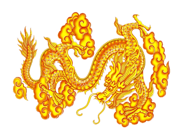 71精强力壮指什么生肖动物精强力壮打一个生肖