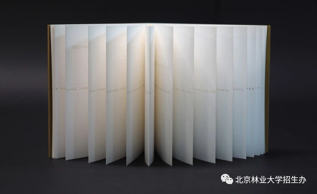 为了讲好八个字的校训，这所学校用了三年...