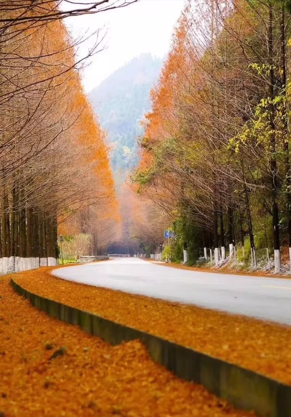 驷马水乡(四川省巴中市平昌县驷马水乡)-骁龙网