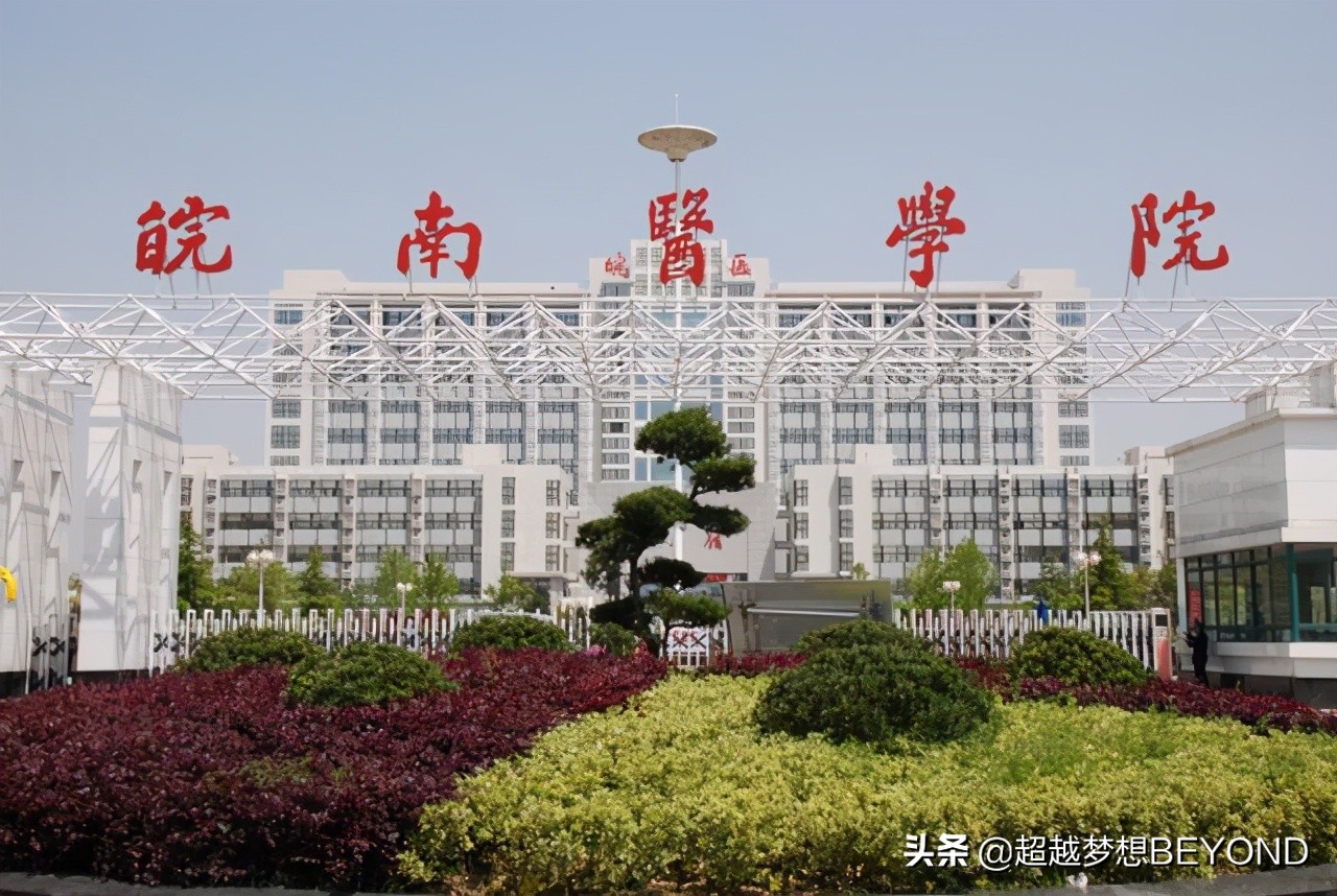 皖南医学院2021年安徽省本科各专业录取分数汇总