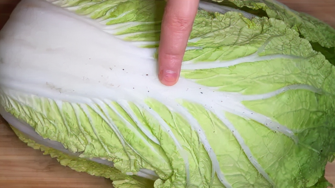 只要大白菜上有黑点的，都不能吃，要转给家人朋友？不妨看看真相