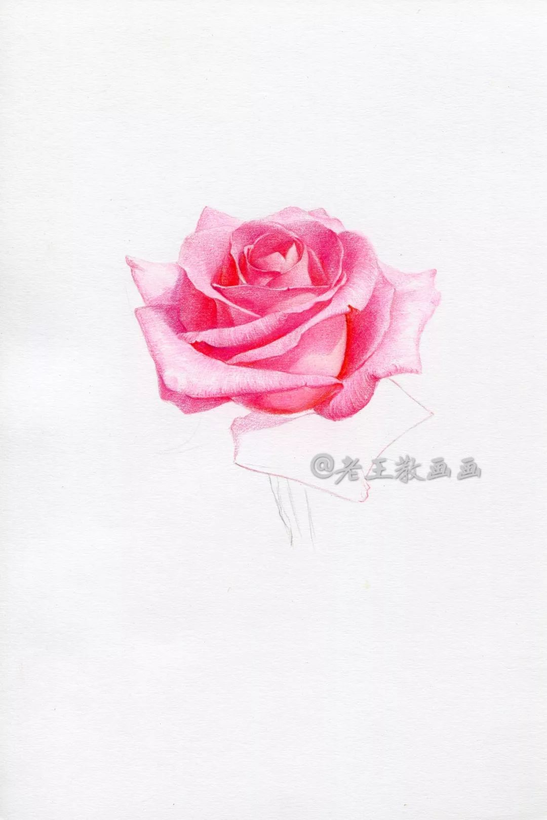 简笔画:手绘铅笔画"一枝红玫瑰"