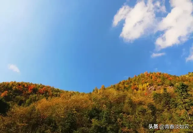 千古名句“山重水复疑无路，柳暗花明又一村”，原来是出自这里