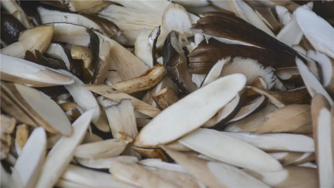 大山里的鸡枞:腾冲人舌尖上的宝藏