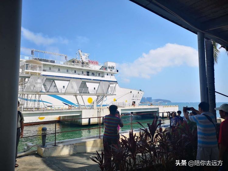 西沙~南海中的一片莲