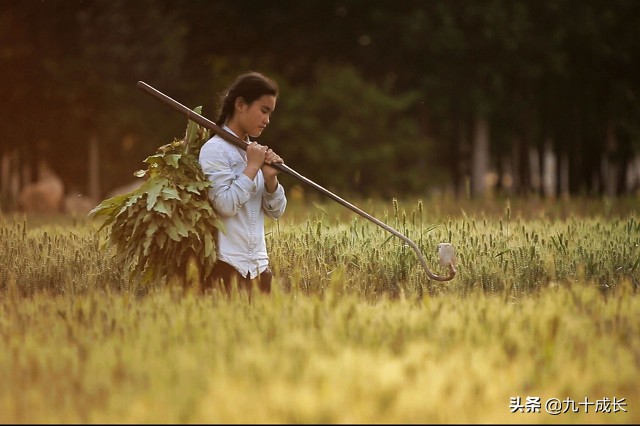 如何写影评？基本模板上线了