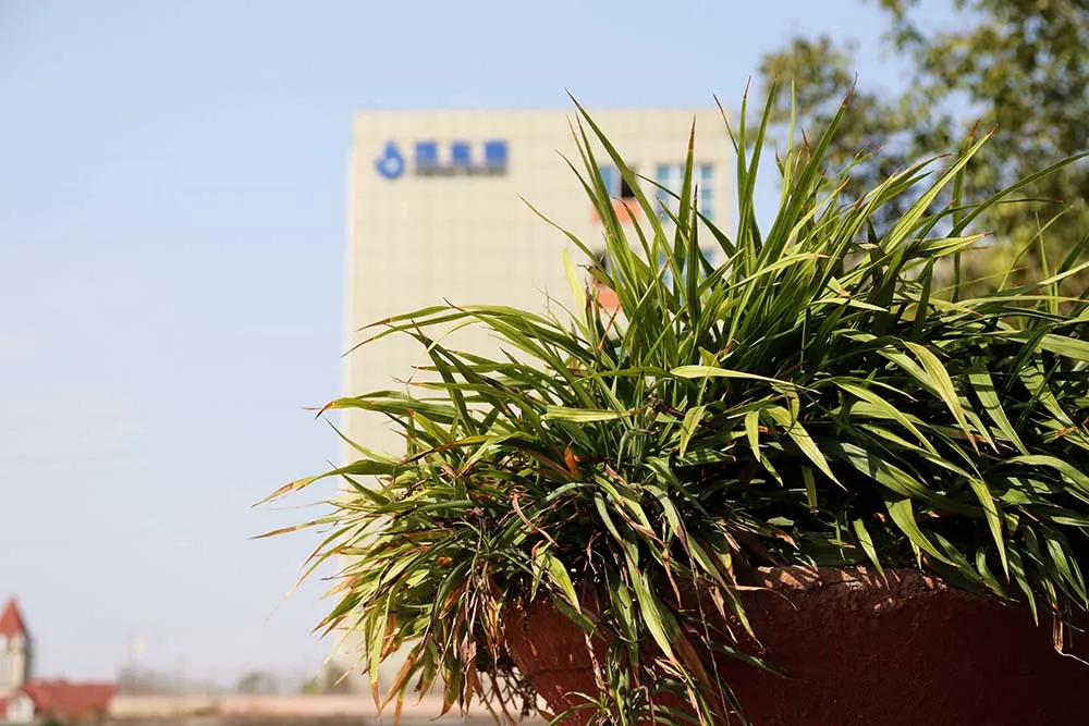 市外招收学生120人！绵阳外国语学校2020年高中招生公告出炉