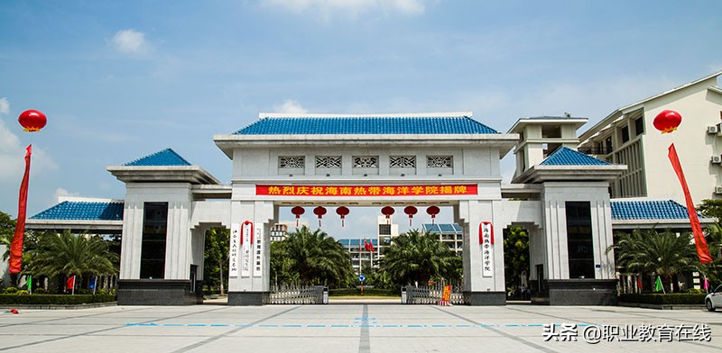 海南省的大学排行榜