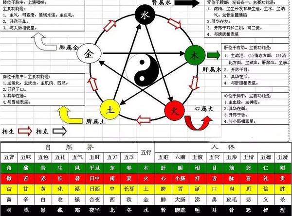 「伯阳风水」易学基础知识二：五行