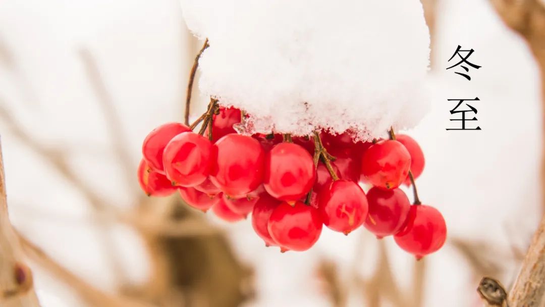 诗词鉴赏-冬至已至 春归有期，十首经典的冬至诗词，温暖如诗