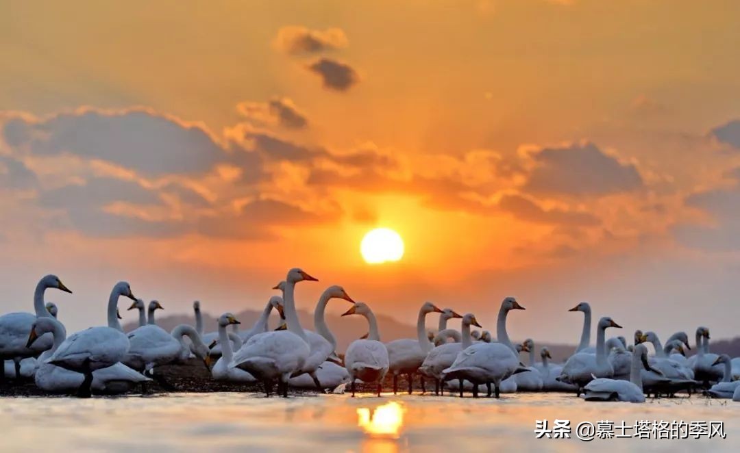 中国北方最宜居的两座海滨城市，靠海不潮湿，空气好景色美环境优