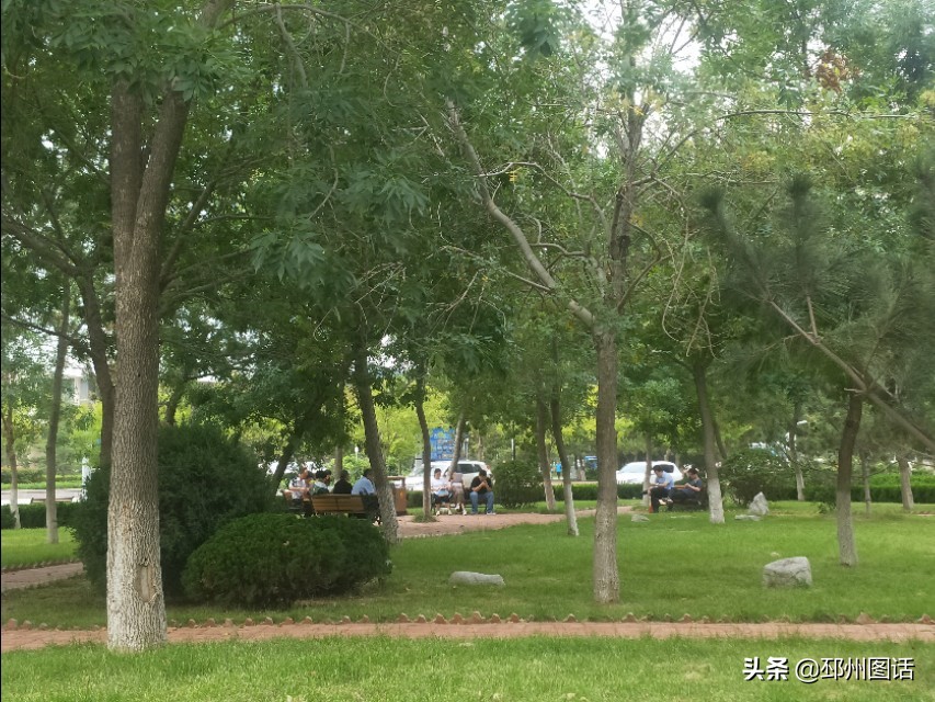 美丽的校园，威海职业学院