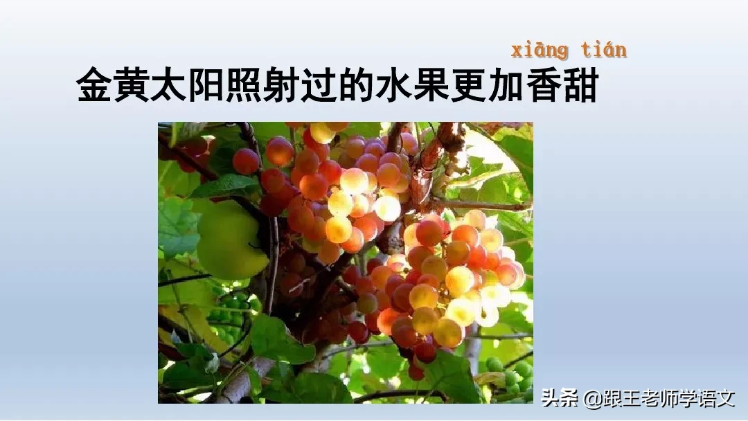 部编语文一年级下册4、四个太阳+朗读+知识点+图文解读