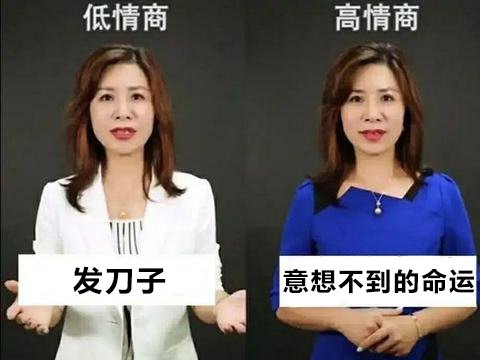 六边形狗狗是什么梗(二次元狂喜？原神新角色让玩家直呼扛不住)