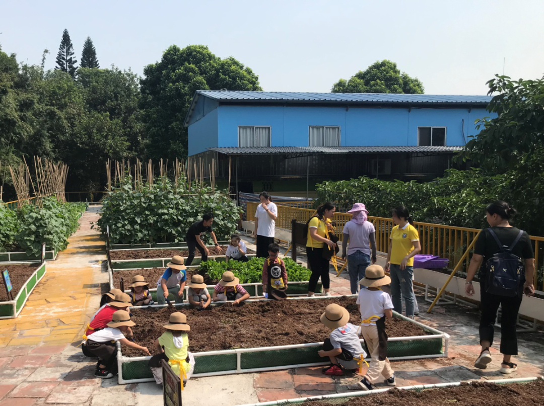 学前教育职业将成为“金饭碗”|广州涉外经济职业技术学院