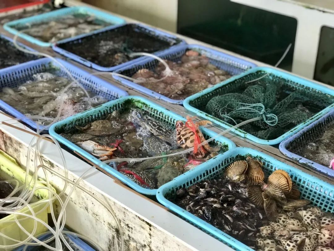 南澳岛：2天2夜不完全攻略，小众路线尽兴游