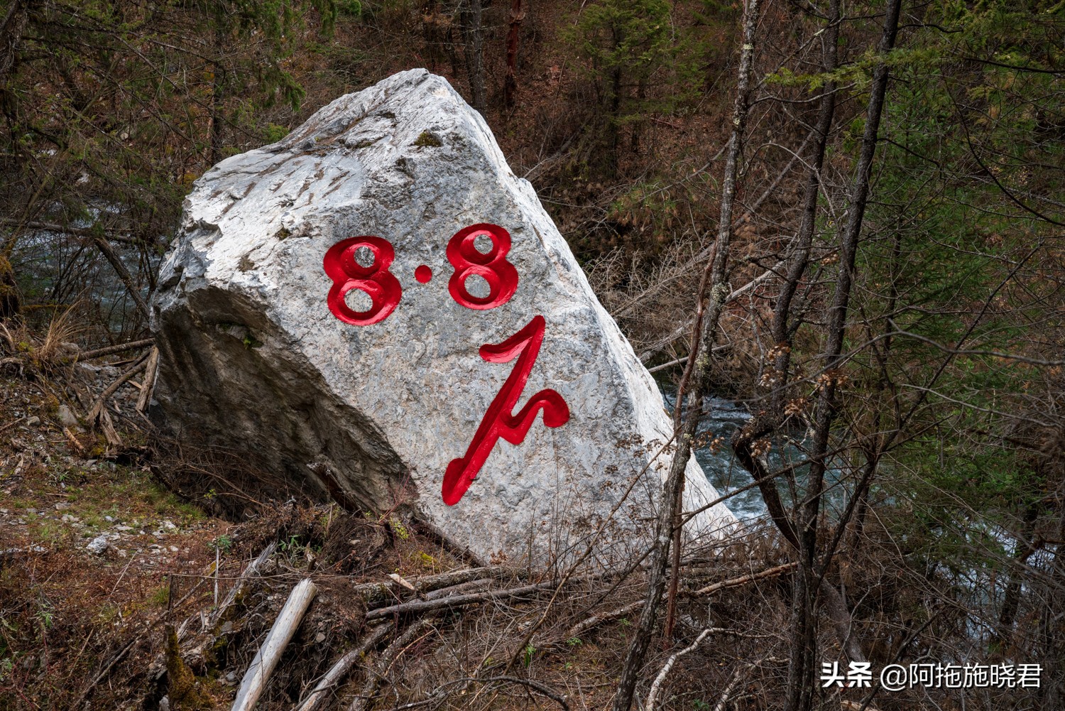 “此景只应天上有”，为之沉醉的九寨沟