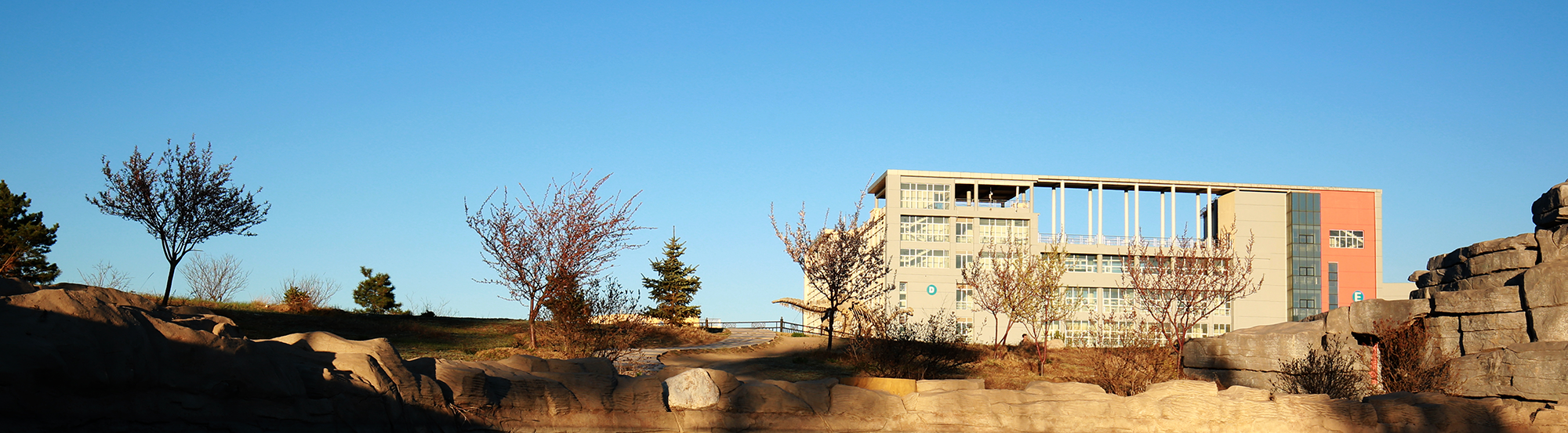 内蒙古医科大学2020年招生计划，2019年录取分数