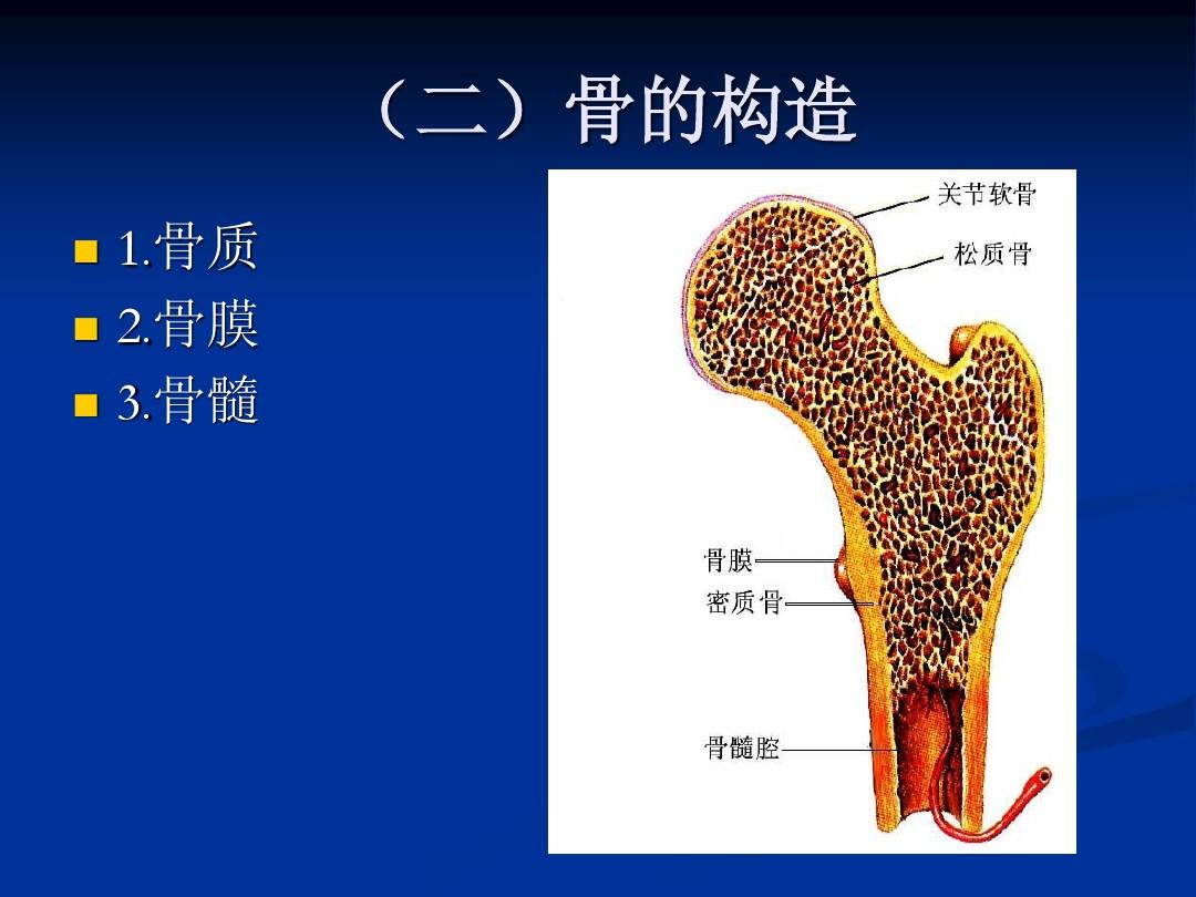 骨软骨瘤的检查措施有哪些