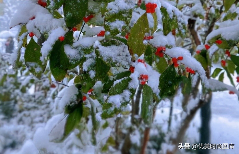 初雪文案温柔美好 第一场雪的心情句子