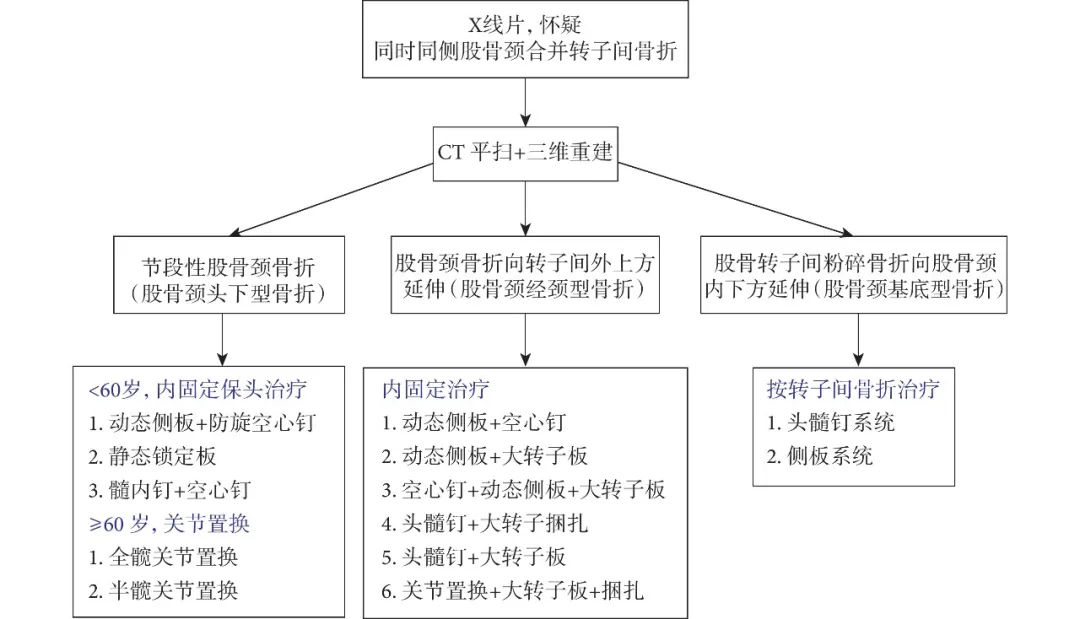 同时累及同侧股骨颈与转子间两个解剖区域的骨折类型与研究进展