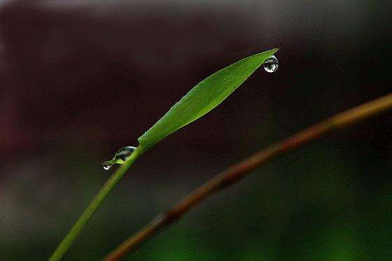 跨越时空的隐逸之风——浅析王维、孟浩然山水田园诗特色