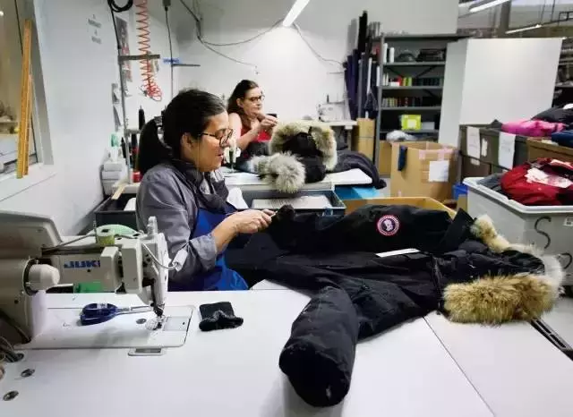 七八千一件的加拿大鹅到底贵在哪?