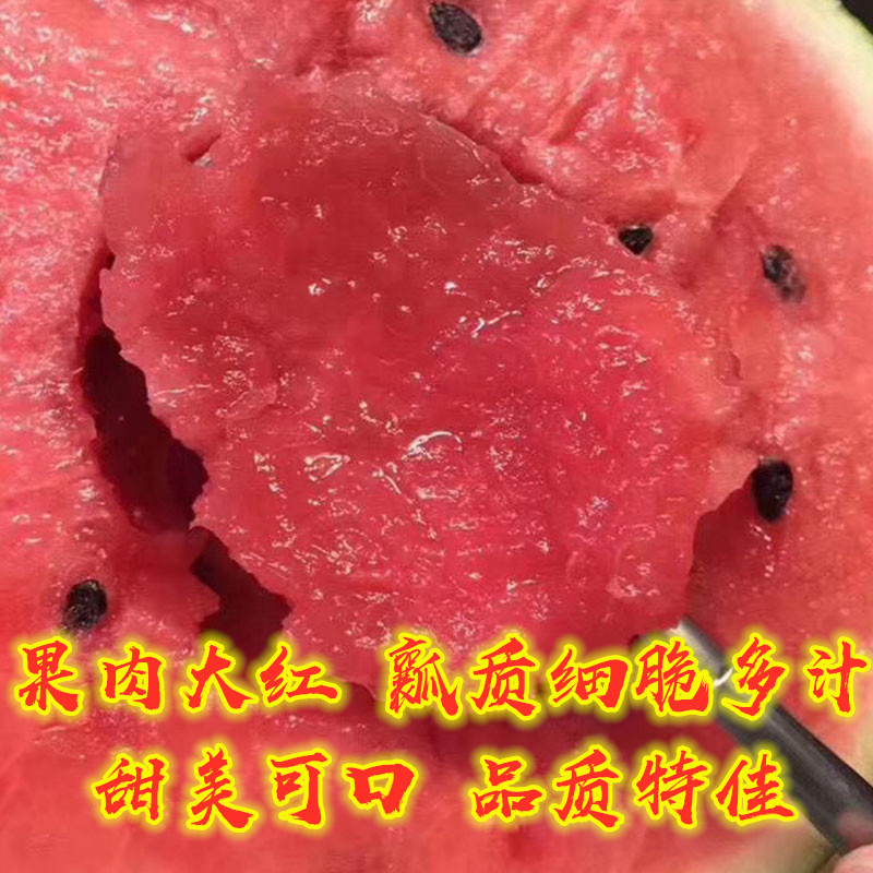 西瓜新品種,西瓜新品種有哪些