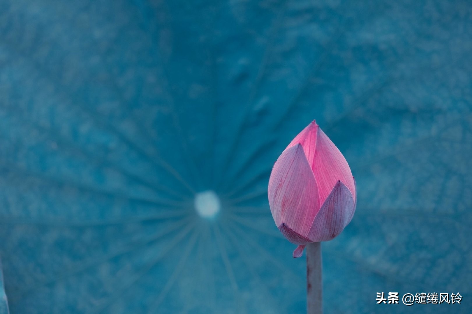 剑未佩妥，出门已是江湖——50句古风文艺诗句，美到窒息