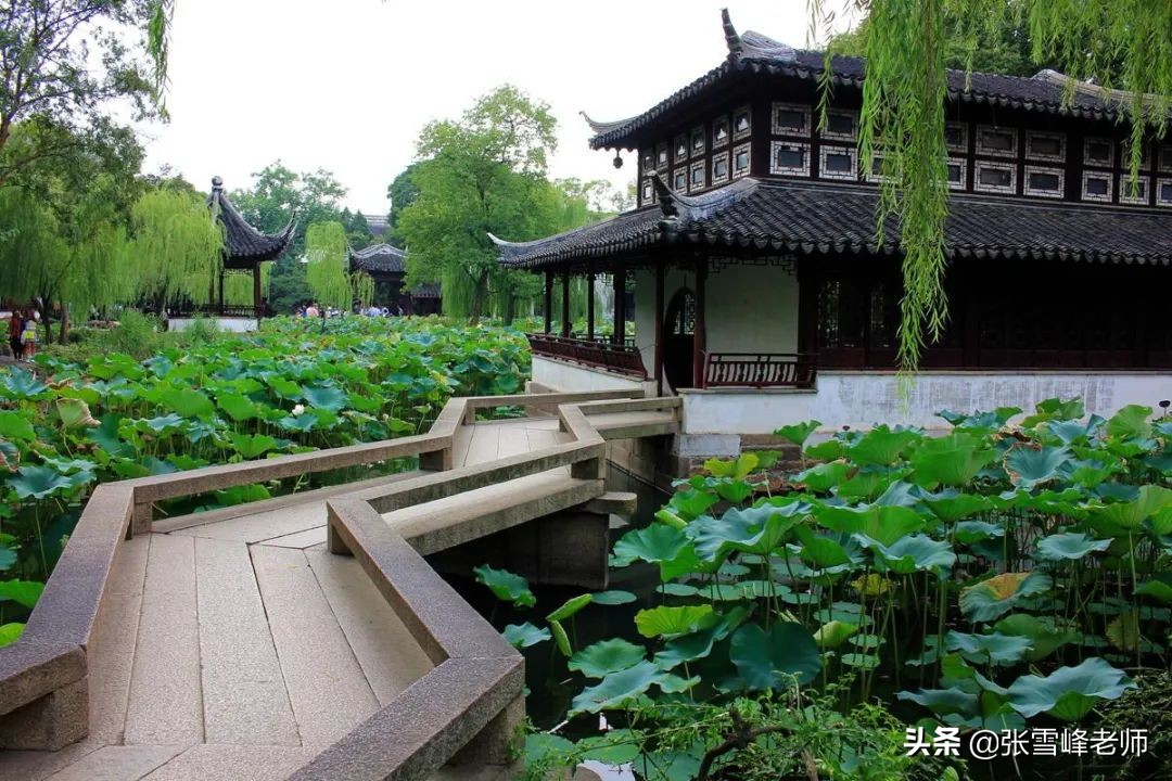 张雪峰哪个学校的老师（千万别报错了）