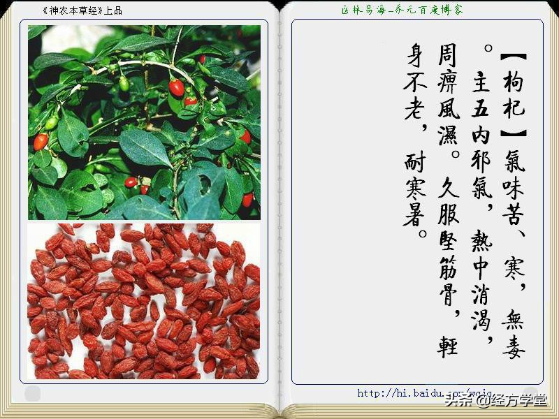 《神农本草经》全册图文解析 建议收藏