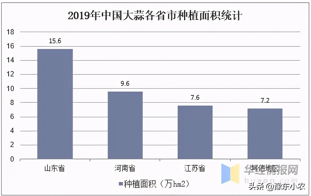 鲜蒜今日价格行情2021，干蒜价格今日价格行情