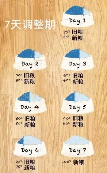 博美犬“价格”多少钱一只?你是买亏了,还是捡了大便宜?